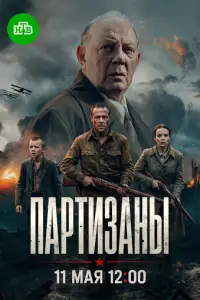 Партизаны